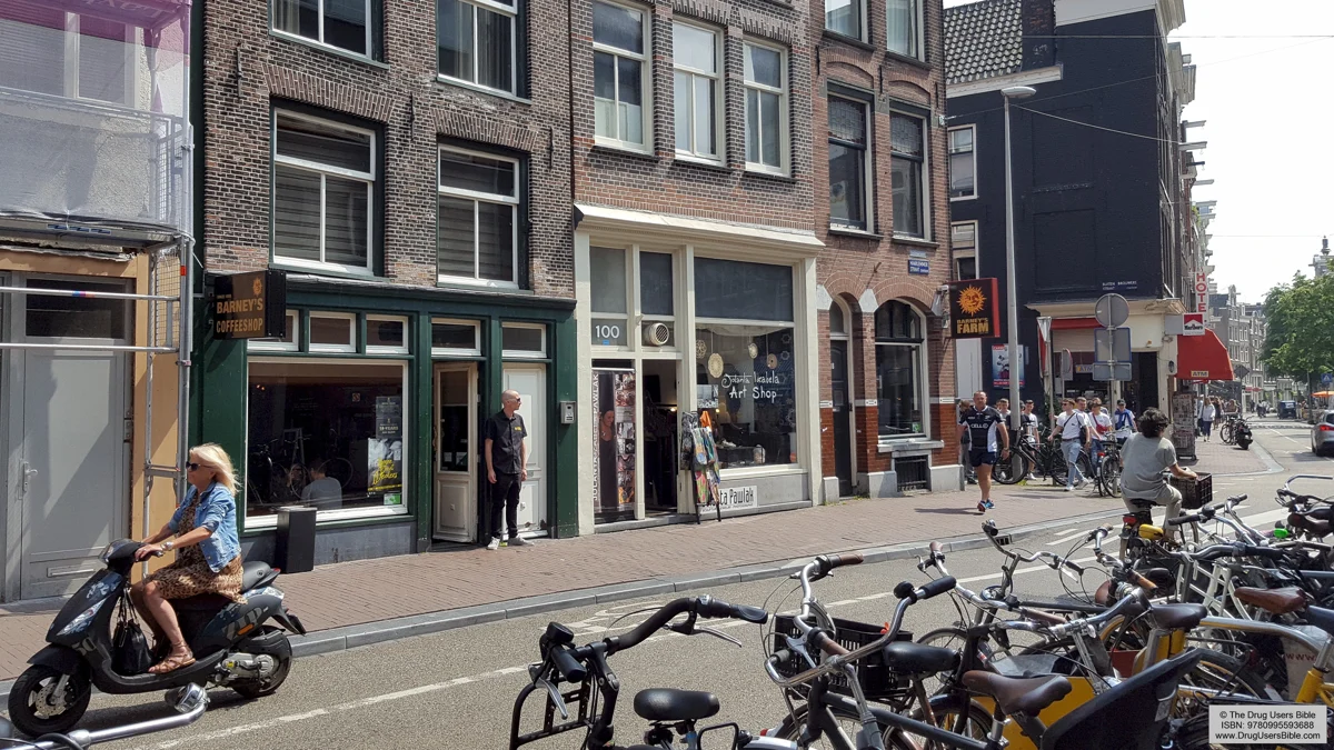 Barney’s Coffeeshop on Haarlemmerstraat