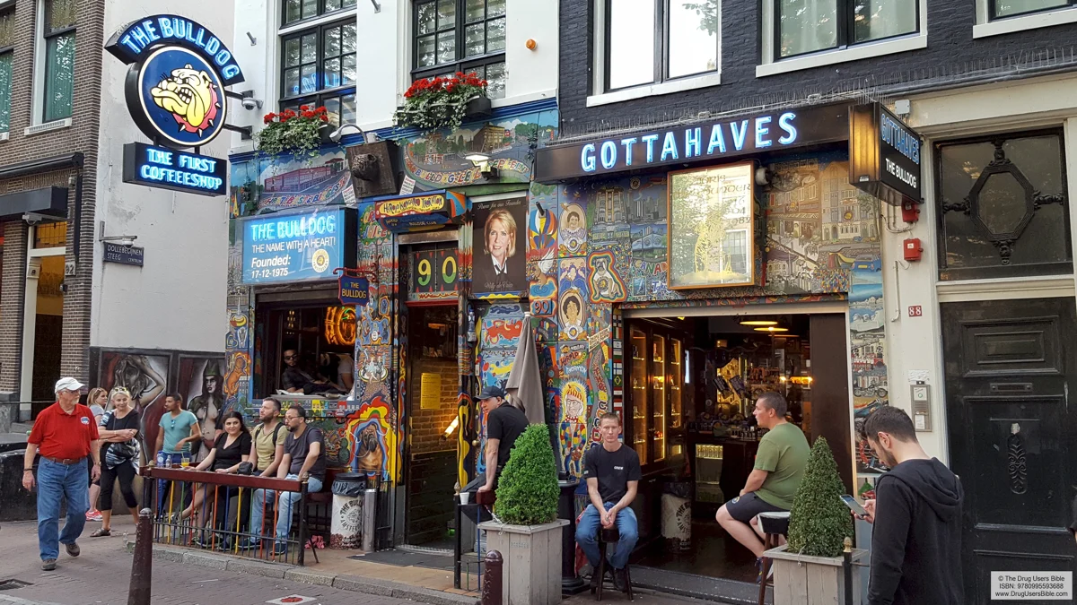 The Bulldog The First at Oudezijds Voorburgwal 90